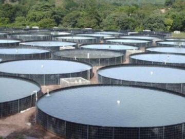 Aquisição de tanques de psiculturas  Santo Antô