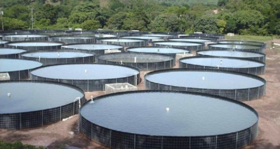 Aquisição de tanques de psiculturas  Santo Antô