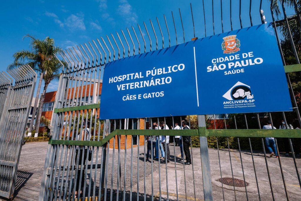 Pedido de um Hospital Veterinário  Jaraguá