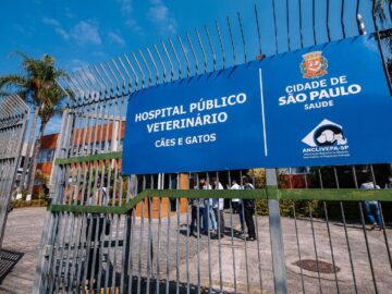 Pedido de um Hospital Veterinário  Jaraguá