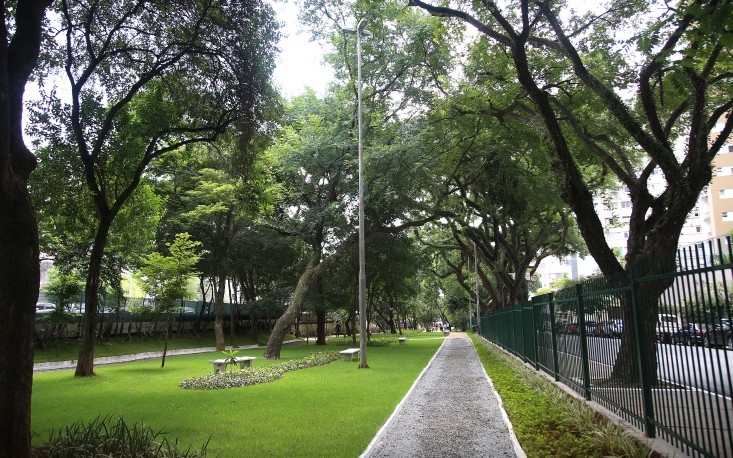 Pedido de revitalização para a Praça Av. Tomás de