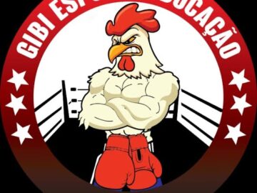 Desenvolvimento de Atividades e Apoio a Projetos e