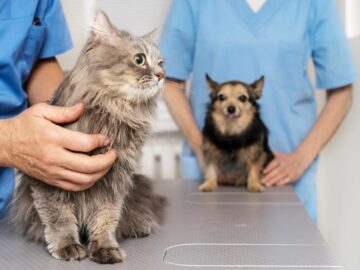 Reforma estrutural e ampliação do Centro de controle de Zoonoses (CCZ)  Barra Funda