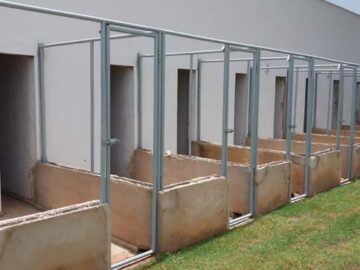 Reforma e ampliação do canil e gatil municipal  Lençóis Paulistas