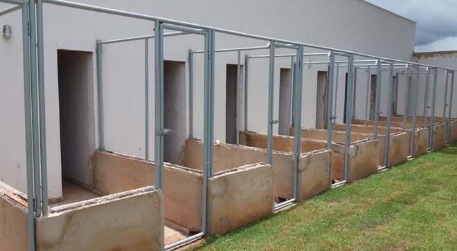 Reforma e ampliação do canil e gatil municipal  Lençóis Paulistas