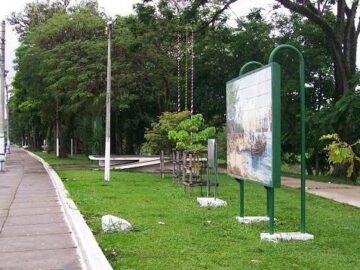 Revitalização do bosque da amizade  Guaratinguet