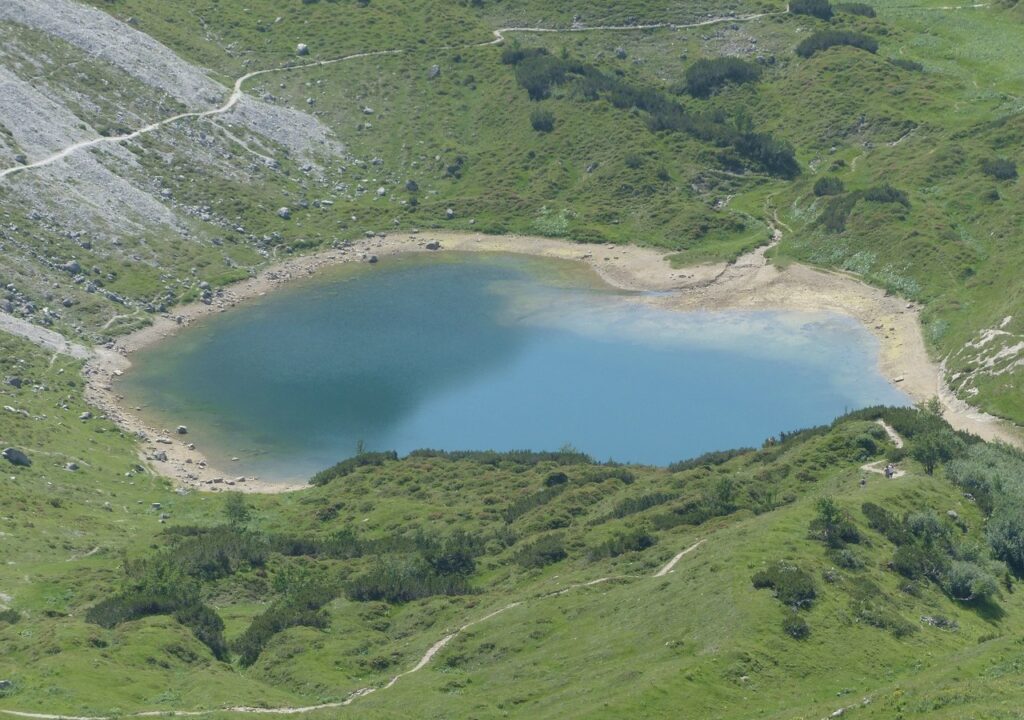 Revitalização de Lago  Jaborandi