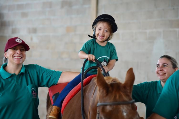 Instituir um programa de equoterapia na cidade