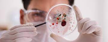 Custeio para o Centro de Referência de Moléstias I  Bauru