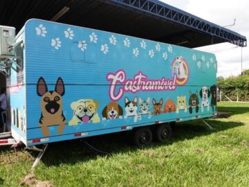 Castração de Animais  Registro