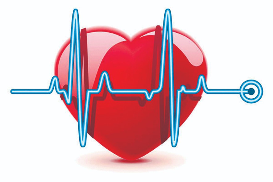 Melhoria da Saúde – Município de Chavantes/SP e Distrito de Irapé