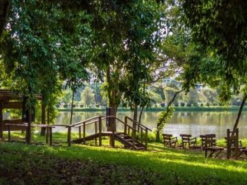 Revitalização do Lago Municipal – Espírito Santo do Pinhal