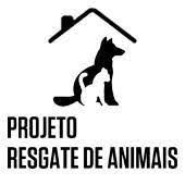 Causa animal