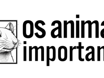 Custeio para a Associação Filantrópica Os Animais Importam – São Paulo