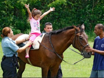 Construção da Equoterapia  Poá