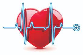 Recursos de Custeio para a Saúde  Conchas