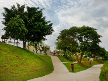 Plantio de árvore, construção de banheiros e refazer a pista de caminhada – Bela Vista