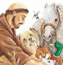 Ampliação e a reforma da Associação Francisco de Assis, bem como a compra de um veículo para transporte dos animais – Nova Granada