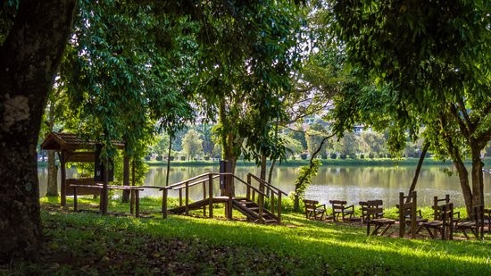 Revitalização do Lago Municipal – Espírito Santo do Pinhal