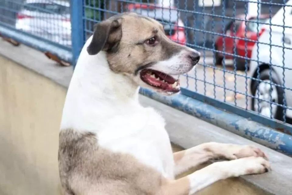 Conclusão das obras da Casa PET – Catanduva