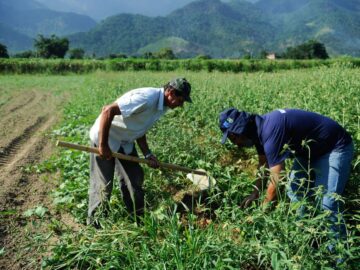 Aquisição de Implementos Agrícolas – Redenção da Serra