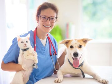 Solicitação de uma Unidade Móvel de Saúde Animal Bariri