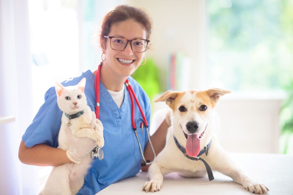 Solicitação de uma Unidade Móvel de Saúde Animal Bariri