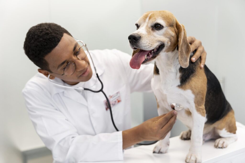 Serviços veterinários de alta complexidade – Lins