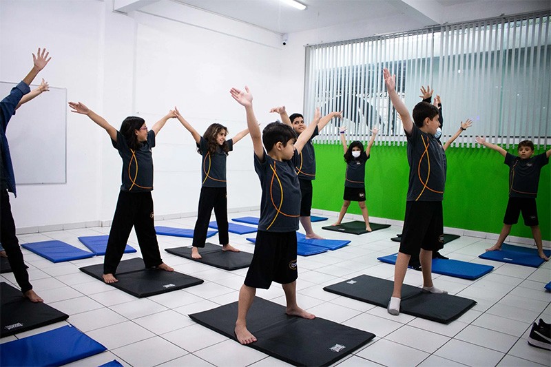 PL 10049/2018 – Inclui a prática de yoga nas aulas de educação física como componente obrigatório dos currículos do ensino fundamental e do ensino médio.