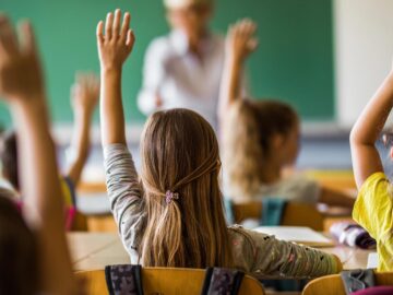 PL 3005/2019 – Inclui, entre os conteúdos obrigatórios a serem desenvolvidos nos currículos da educação básica, a inteligência emocional.