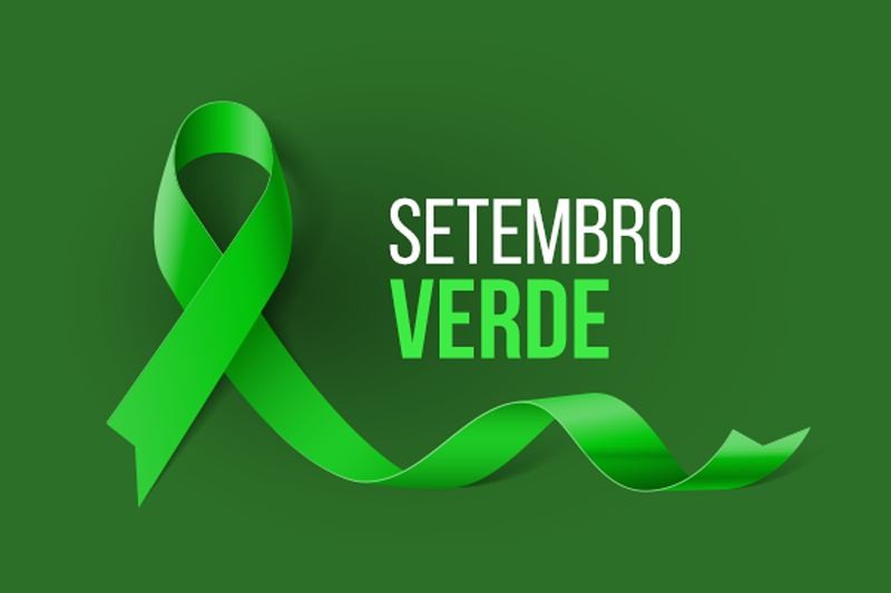 PL 3756/2019 – Institui mês comemorativo para promover a inclusão social da pessoa com deficiência, denominado Setembro Verde.