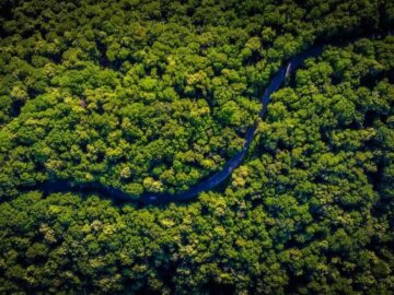 PL 116/2019 – Obriga o Poder Público a fornecer informações adequadas e inteligíveis à população local e a outras partes interessadas em consultas públicas sobre Unidades de Conservação da Natureza.
