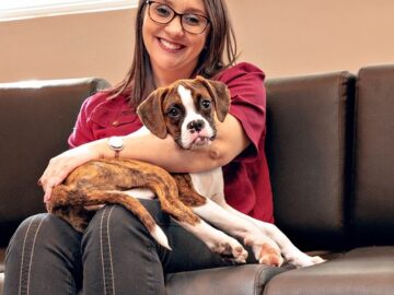 PL 1.468/2024 – Transporte seguro para pets em transportes coletivos!