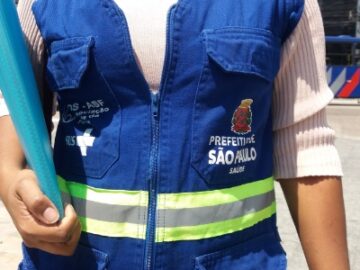 Instituir o Sistema de Proteção Social e Valorização dos Agentes Comunitários de Saúde e de Combate às Endemias